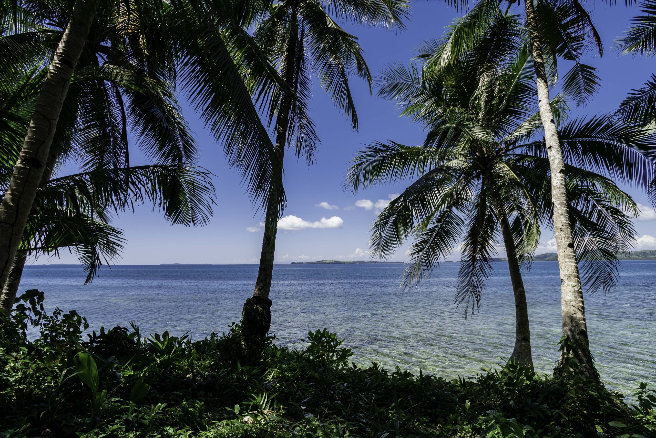 FOR SALE | BEACHFRONT PROPERTY IN GENERAL LUNA, SIARGAO ISLAND